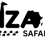 KIZAN - 1
